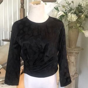 Zara Dress Blouse